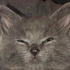 Avatar for Agestrosref