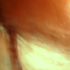 Avatar for SohPhia