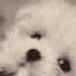Avatar for wallacesousa