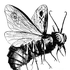 Avatar di grave_stench