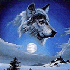 Avatar di Coshida_81
