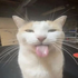 Avatar for ktkt312