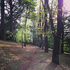 Avatar di forest_song