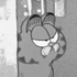 Avatar for Michael_816