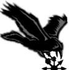 Avatar for Nighty09