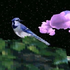 wwwwwwwwxwwwwww için avatar