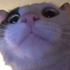 Avatar for Exy-