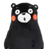 Avatar for spicyfettuccine