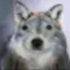 Avatar for zachpatt