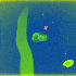 Avatar for solvettcoagula