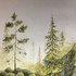 Avatar for Mystiska Skogen
