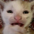 Avatar for whole_milk000