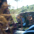 Avatar di littleedecoy