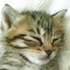 Avatar di LucianneKay
