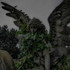 Avatar for FatalDestinyKai
