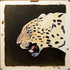 Avatar di jkno21892