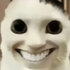 Avatar for Armijn_Himi