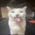 Avatar for ishitmypants89