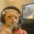 Avatar for possiblyaperson