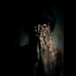 Avatar for brutal_kid