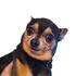 Avatar for ExittLight