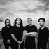 Avatar for Veil of Maya
