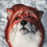 Avatar for kalico125_