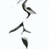 Avatar for deleite