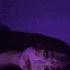 Avatar för m444rtyr
