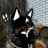 Avatar for Wolfiechu