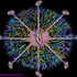 Avatar für lateralus88