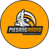 Avatar for piesangradio
