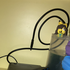 Avatar für moles0359875535