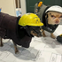 Avatar for R3nr