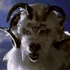 Avatar di goatsofdoom