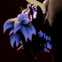 Avatar for Clawrez