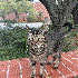 Avatar for Karina2606