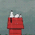 Avatar for shuajo