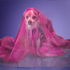Avatar for xN-