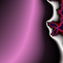 Avatar for steviexox