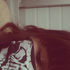 Avatar for Lilium-