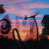 Avatar for nasafrasa