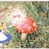 Avatar di blind_marmot