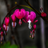 Avatar for pi_e