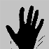 Avatar for zivve17