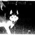 Qmnplcnqsrmn_ için avatar