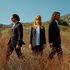 Avatar for Paramore