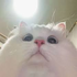 Avatar für BastikK