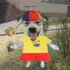 Avatar for ermosfungicos