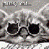 Avatar de MayiAlice